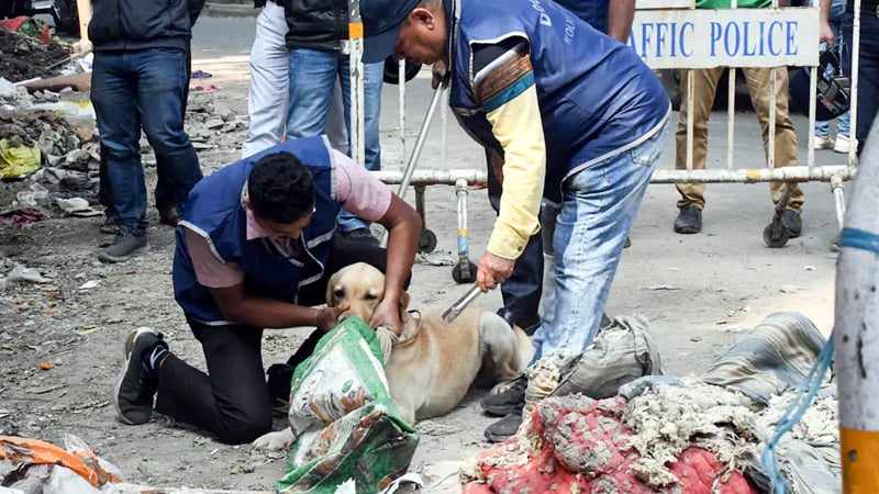 প্রেমে প্রত্যাখ্যাত হয়ে শ্যালিকাকে নির্মমভাবে খুন, নিথর শরীরের তিন খণ্ড উদ্ধার
